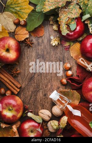 Apfelessig. Flasche frischen Bio-Apfelessig auf Holztischhintergrund mit Zimtstangen, Anisstern, Nüssen und gefallenen Blättern. Gesundheit Stockfoto