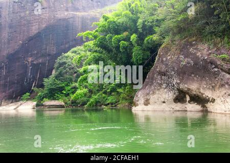 Ein Hain aus Bambusbäumen und ungewöhnlichen Felsformationen am neun-Biegefluss in wuyishan china in der Provinz fujian. Stockfoto