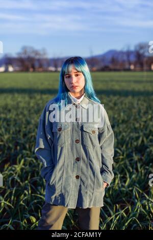 Nachdenklich junge Frau mit blauen Haaren Blick auf Kamera gekleidet In modischer Jacke im grünen Feld in sonnigen Abend stehen Stockfoto