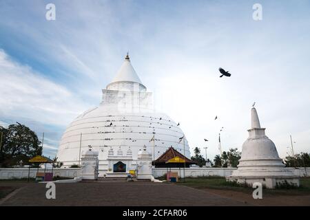 Weiße Fassade von Stupa von Tissamaharama Raja Maha Vihara gegen Blauer Himmel mit Vögeln, die in Sri Lanka herumfliegen Stockfoto