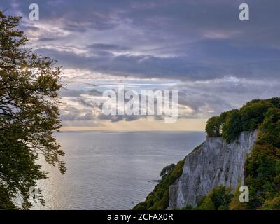 Stubbenkammer, Stadt Sassnitz (Saßnitz), Kreis Vorpommern-Rügen, Mecklenburg-Vorpommern, Deutschland, Rügeninsel, Ostsee, Königsstuhl, Stockfoto