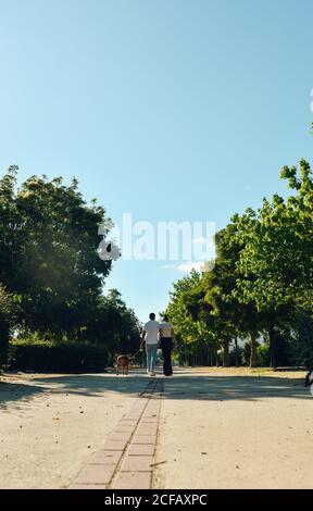 Pärchen, die mit ihrem Hund durch die Straßen laufen und spielen Der Stadt Stockfoto