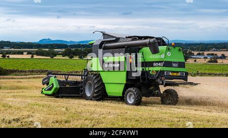 Deustz Fahr Mähdrescher Ernte ein Gerstenkornfeld im Sommer mit dunklem stürmischen Himmel, East Lothian, Schottland, Großbritannien Stockfoto