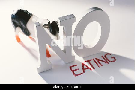 Von oben kleine Plastikfigur der Kuh und der großen Buchstaben Vor weißem Hintergrund mit rotem Slogan No Eating Calling To Hör auf, Tiere zu essen Stockfoto