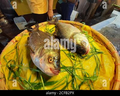 Fisch ist die Hauptquelle von tierischem Protein für die Menschen in Bangladesch. Fischverkäufer verkaufen Fischfang aus frischem und Brackwasser. Stockfoto