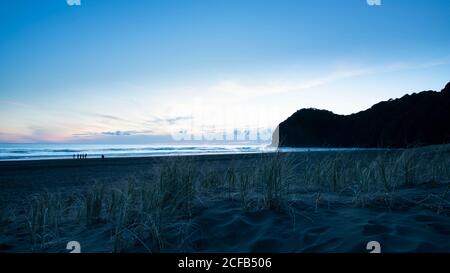 Sonnenuntergang Blick auf Piha Strand mit Gras auf dem Rohling Sanddünen Stockfoto