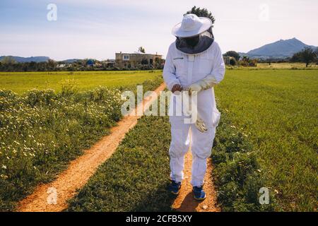 Unerkennbarer Imker in weißem Kostüm, der Schutzhandschuhe aufsetzt Auf grüner Wiese stehen und sich auf die Arbeit vorbereiten Bienenhaus Stockfoto