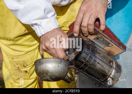 Nahaufnahme der Ernte anonymen männlichen Imker, die Feuer auf Biene Raucher während der Arbeit an einem Bienenhaus Stockfoto