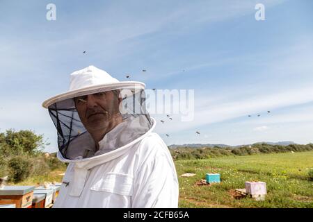 Reifer Imker in weißem Schutzkostüm und Maske suchen Bei der Kamera im Bienenhaus mit Bienen herumfliegen Im Sommer Tag Stockfoto