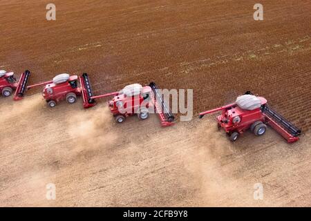 Mato Grosso, Brasilien, 02. März 2008: Luftaufnahme der Sojabohnenernte auf der Fartura Farm, im Bundesstaat Mato Grosso, Brasilien. Brasilien ist der weltweit größte Sojaproduzent Stockfoto