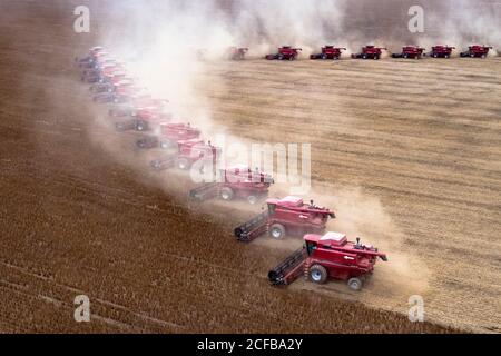 Mato Grosso, Brasilien, 02. März 2008: Luftaufnahme der Sojabohnenernte auf der Fartura Farm, im Bundesstaat Mato Grosso, Brasilien. Brasilien ist der weltweit größte Sojaproduzent Stockfoto