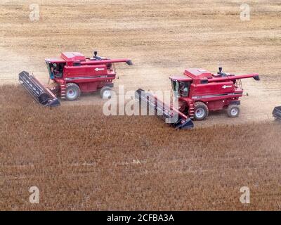 Mato Grosso, Brasilien, 02. März 2008: Luftaufnahme der Sojabohnenernte auf der Fartura Farm, im Bundesstaat Mato Grosso, Brasilien. Brasilien ist der weltweit größte Sojaproduzent Stockfoto