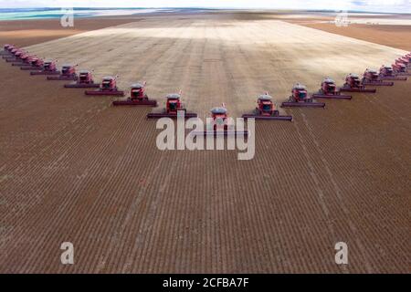 Mato Grosso, Brasilien, 02. März 2008: Luftaufnahme der Sojabohnenernte auf der Fartura Farm, im Bundesstaat Mato Grosso, Brasilien. Brasilien ist der weltweit größte Sojaproduzent Stockfoto