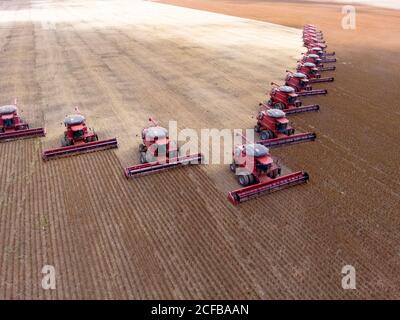 Mato Grosso, Brasilien, 02. März 2008: Luftaufnahme der Sojabohnenernte auf der Fartura Farm, im Bundesstaat Mato Grosso, Brasilien. Brasilien ist der weltweit größte Sojaproduzent Stockfoto