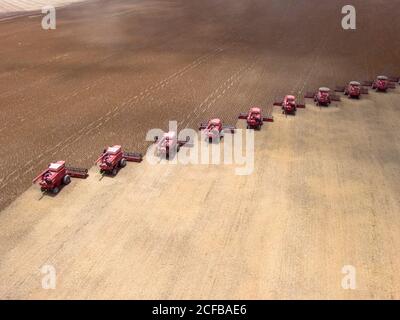 Mato Grosso, Brasilien, 02. März 2008: Luftaufnahme der Sojabohnenernte auf der Fartura Farm, im Bundesstaat Mato Grosso, Brasilien. Brasilien ist der weltweit größte Sojaproduzent Stockfoto