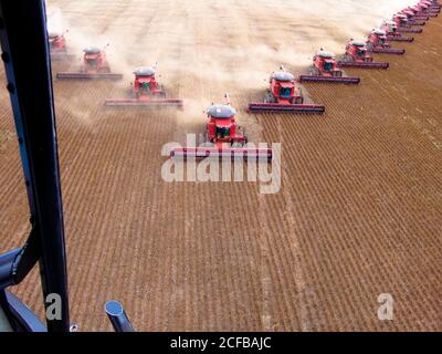 Mato Grosso, Brasilien, 02. März 2008: Luftaufnahme der Sojabohnenernte auf der Fartura Farm, im Bundesstaat Mato Grosso, Brasilien. Brasilien ist der weltweit größte Sojaproduzent Stockfoto