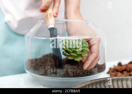 Gesichtsloser Gärtner, der am Tisch steht und saftig im Boden pflanzt Im Blumentopf aus Glas Stockfoto