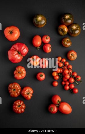 Von oben Ansicht von Tomaten auf einer schwarzen Oberfläche Stockfoto