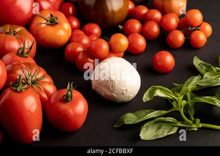 Bündel von reifen roten Tomaten und Basilikumblättern für den Salat Platziert auf schwarzem Hintergrund in der Nähe von Scheiben von frischem Mozzarella-Käse Stockfoto