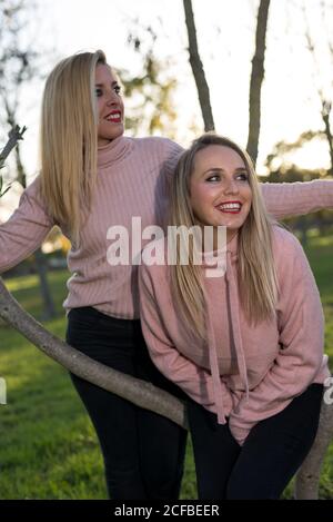 Zwei blonde Mädchen schauen neben einem trockenen Baum glücklich. Sonniger Tag im Park. Rosa Pullover. Stockfoto