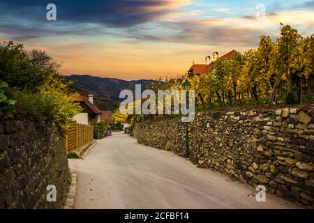 Asphaltstraße in wachau. Herbstlandschaft. Österreich. Stockfoto