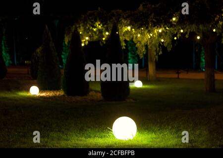 Beleuchtung Hinterhof Licht Garten mit elektrischen Boden Laterne mit runden Diffusor in der Nähe von Arborvitae und Girlande von Glühbirnen auf Baum Verzweigung mit lea Stockfoto