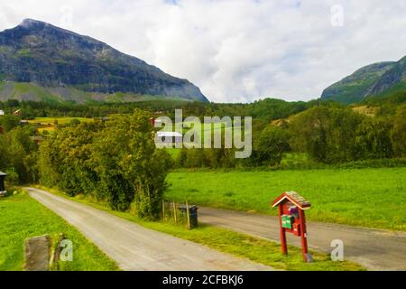 Sommerlandschaft, Landstraße, üppiges Grün schöne Landschaft Tyinvegen Vang, Norwegen von der aus gesehen E16 Europäische Route von Bergen nach Oslo, August 2020 Stockfoto