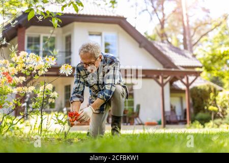 Reifer Mann, der im Garten arbeitet Stockfoto