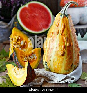 Herbstliches Gemüse. Ernte der Kürbisse. Komposition für die Feier von Halloween. Stockfoto