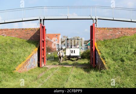 Museum Pferderennen, Spiekeroog, Ostfriesische Inseln Stockfoto