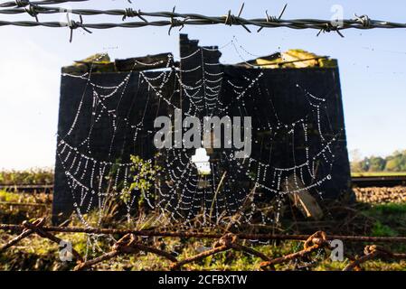 Spinnennetz am Gleisrand Zaun vor der verlassenen Hütte Stockfoto