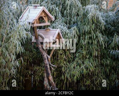 Vogelhäuser vor Bambus Stockfoto