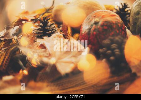 Happy Thanksgiving und Hallo Herbst, feiern Herbstferien in gemütlichen Hause. Kürbis, Herbstblätter, Gewürze und Tannenzapfen auf kuscheligem Strickpullover in w Stockfoto