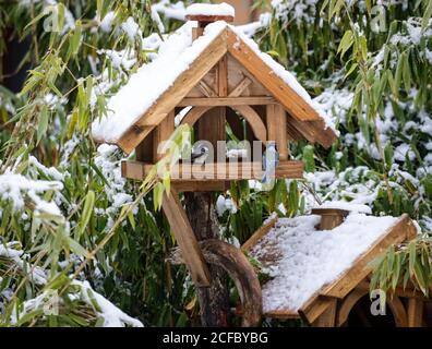 Vogelhäuser vor Bambus im Schnee Stockfoto