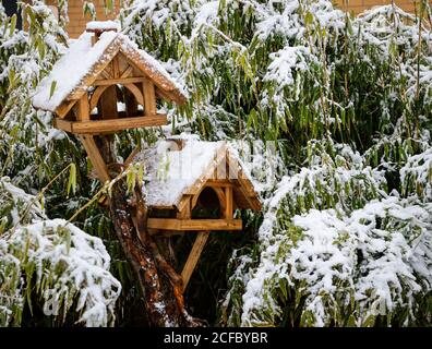 Vogelhäuser vor Bambus im Schnee Stockfoto