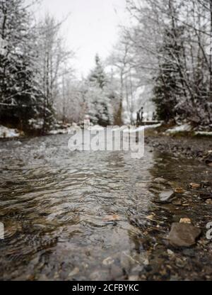 Flussbett mit Steinen im Winter Stockfoto