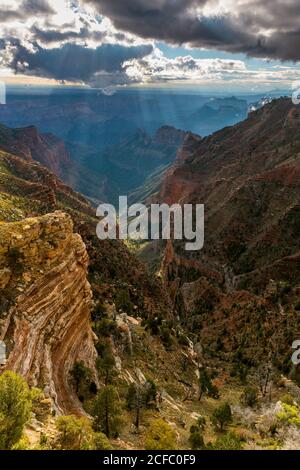 Clearing Regen, Nankoweap Canyon, Grand Canyon National Park, Arizona Stockfoto