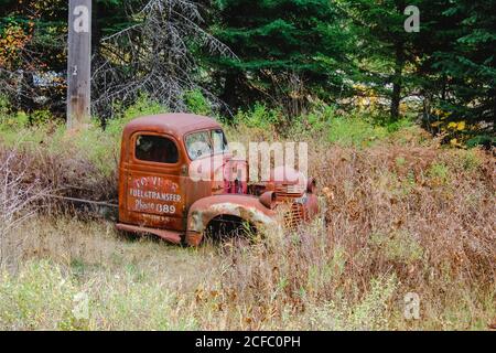 Alte Autos / Lieferwagen in Kanada am Straßenrand, Wracks Schleppwagen Stockfoto