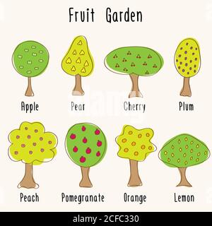 Verschiedene Garten Obstbäume - handgezeichnete Kritzeleien. Vektorgrafik. Stock Vektor