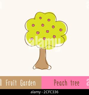 Garten Obstbäume - Einzelbaum - handgezeichnete Kritzeleien. Vektorgrafik. Stock Vektor