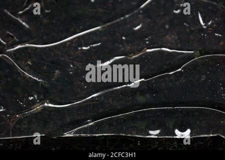 Fragment von dünnem Eis auf dunklem gefrorenem Fluss Stockfoto