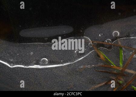 Fragment von dünnem Eis auf dunklem gefrorenem Fluss Stockfoto