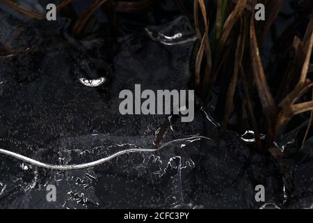 Fragment von dünnem Eis auf dunklem gefrorenem Fluss Stockfoto