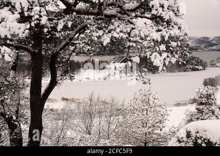 Ländliche malerische hügelige Tal mit Schnee bedeckt Bäume und Ufer Des Sees im trüben Tag in Norwegen Stockfoto