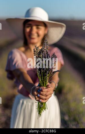 Weicher Fokus der glücklichen Frau, die am Sommertag im Feld mit purpurnen Blumen in ausgestreckten Händen steht Stockfoto