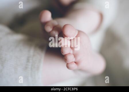 Von oben niedlichen Fingern und liebenswert prall Baby Beine Neu geboren in warmen Hosen Stockfoto