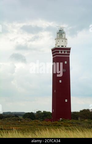 Strandgras im Vordergrund und der 56 Meter hohe eckige 'West Head Lighthouse' in Ouddorp in den Niederlanden, auf Zeeland in Europa Stockfoto