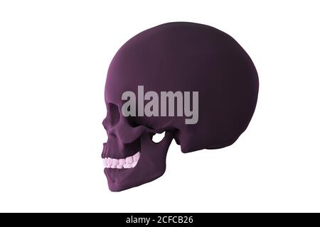 Dunkler Schädel im Profil, isoliert auf Weiß, 3d-Rendering Stockfoto