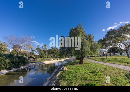 Landschaft des Flusses Turia Jardin del Turia, Freizeit-und Sportbereich in Valencia, Spanien. Mit Bäumen, Gras und Wasser Stockfoto