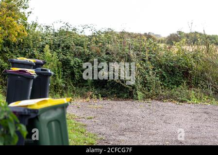 Abfalleimer in ländlicher Umgebung. Wheelie Behälter in Land auf rat Sammlung runden im Land. Tolles Wakering, in der Nähe von Southend on Sea, Essex Stockfoto